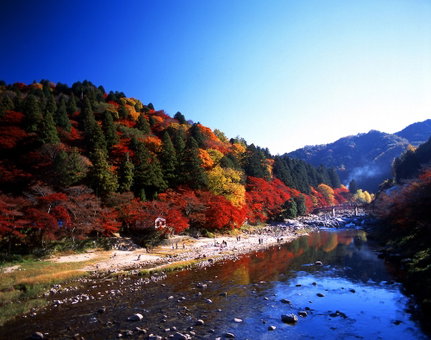 Toyota Prestige Hotel, Toyota, Japan