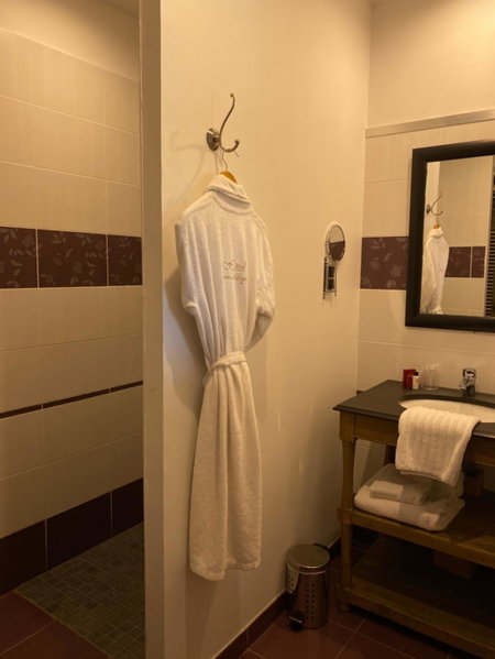 Hôtel 4 étoiles - Restaurants & Spa Périer Du Bignon, Laval, France