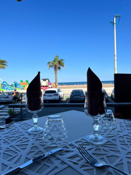 Logis Hôtel & Restaurant Mediterranee, Port-la-Nouvelle, France