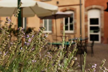 ibis Styles Toulouse Lavaur, Lavaur, France