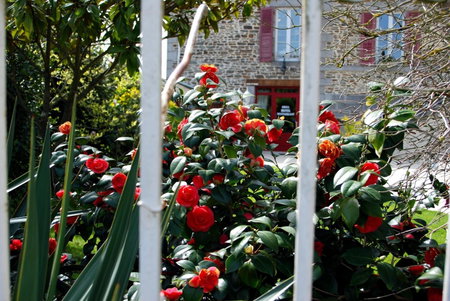 Hôtel Ariane & SPA, Pontorson, France