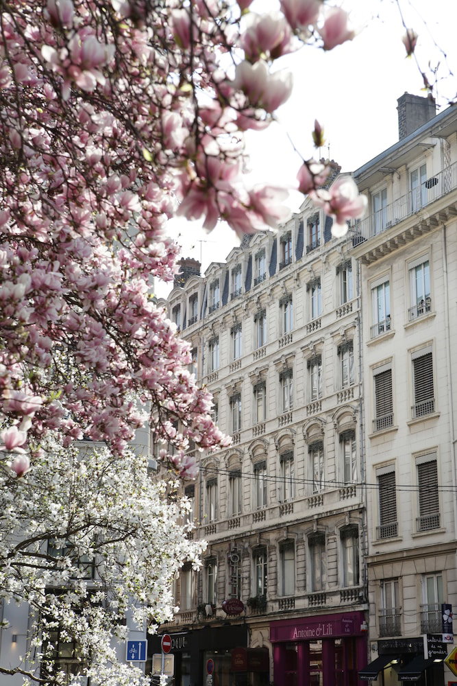 Hôtel des Célestins, France
