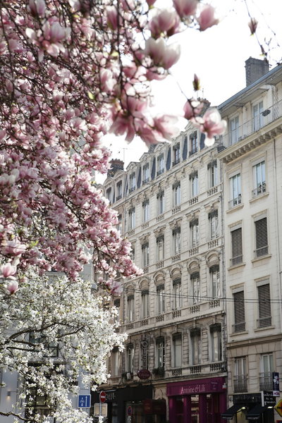 Hôtel des Célestins, Lyon, France