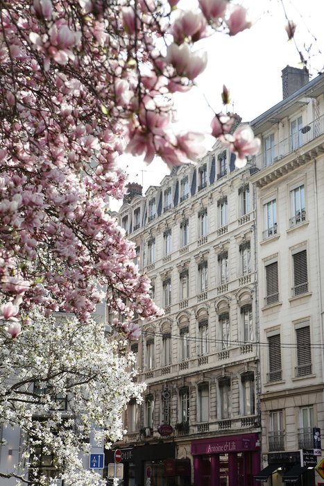 Hôtel des Célestins, Lyon, France