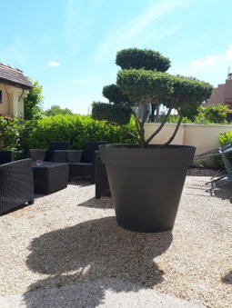 La Bonbonniere - Sure Hotel Collection by Best Western, Talant, France