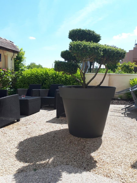 La Bonbonniere - Sure Hotel Collection by Best Western, Talant, France