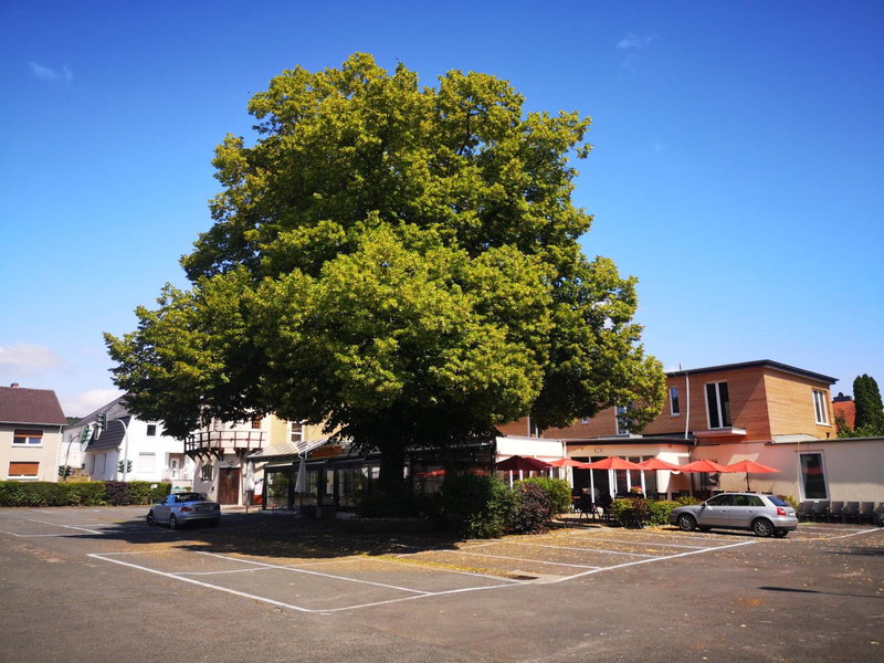 Hotel Zur Mühle, Lengerich, Germany