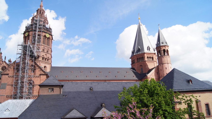 Hof Ehrenfels, Mainz, Germany