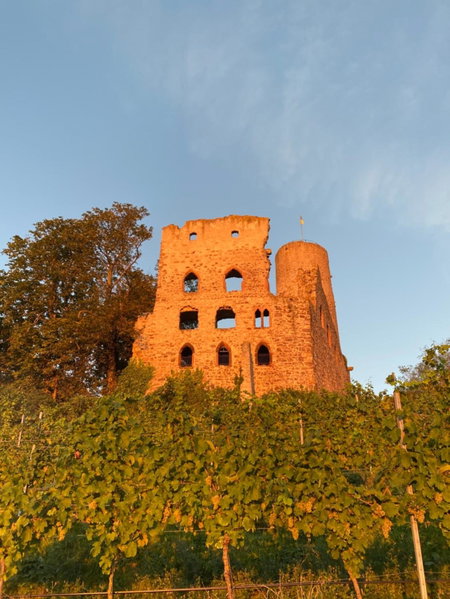 Hotel Scheid, Schriesheim, Germany