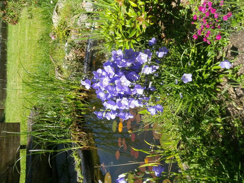 Schwarzwaldgasthaus Salenhof, Donaueschingen, Germany