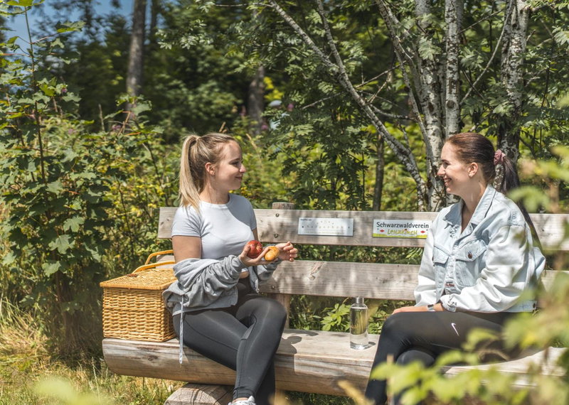Schwarzwald Wellnesshotel SAIGERHÖH I Spa Golf & Wandern über dem Titisee, Lenzkirch, Germany