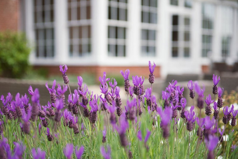 Bartley Lodge Hotel, Lyndhurst, Royaume-Uni