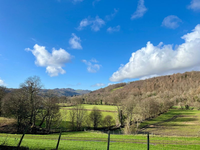 Dolgun Uchaf Historic Guesthouse and Cottages with Boutique Bedrooms In The Heart of Snowdonia, Dolgellau, United Kingdom