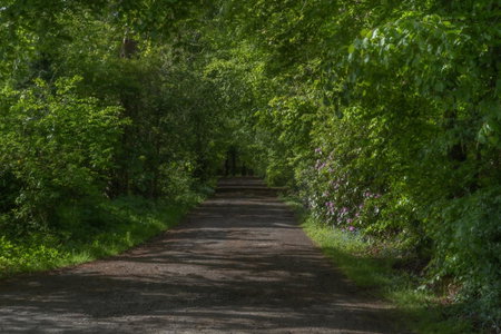 Bankton Rooms & Lodges, Livingston, Royaume-Uni