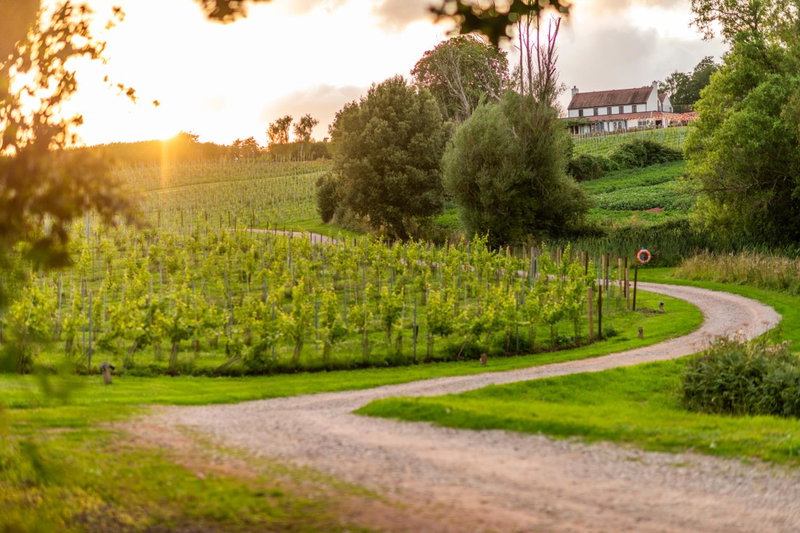 Three Choirs Vineyards, Newent, United Kingdom