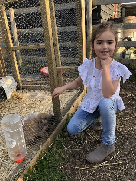 Willow Court Farm, Windsor, United Kingdom