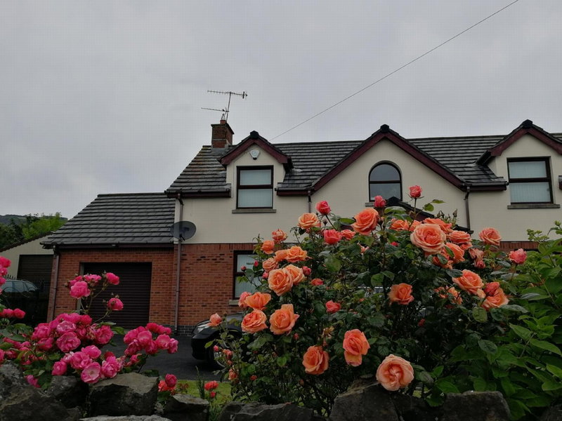 Fox Heaven B&B, Carrickfergus, United Kingdom