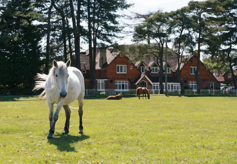 Beaulieu Hotel, Brockenhurst, United Kingdom