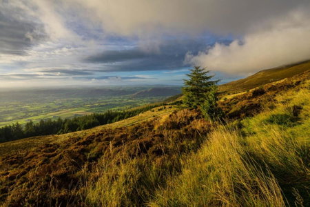 Killeavy Castle Estate, Meigh, United Kingdom