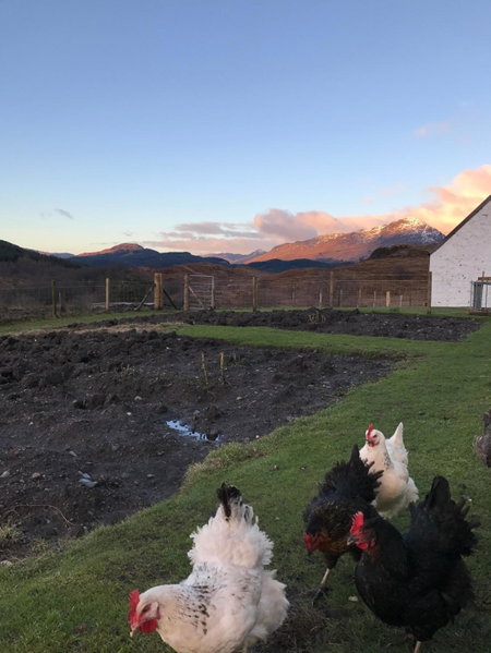 Garrison Farm with Hot Tub, Inversnaid, United Kingdom