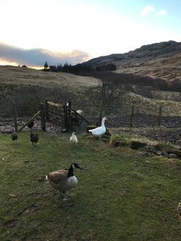 Garrison Farm with Hot Tub, Inversnaid, United Kingdom