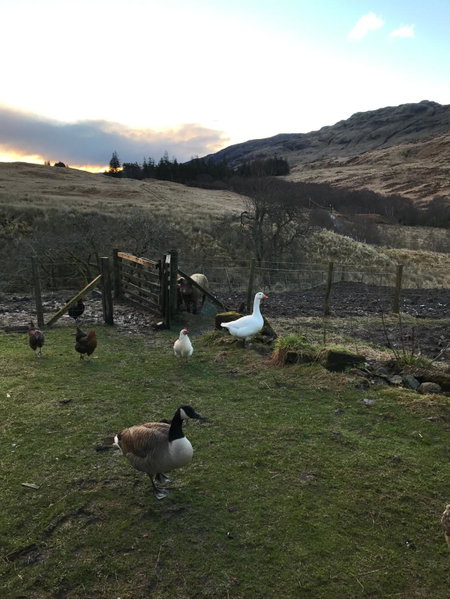 Garrison Farm with Hot Tub, Inversnaid, United Kingdom