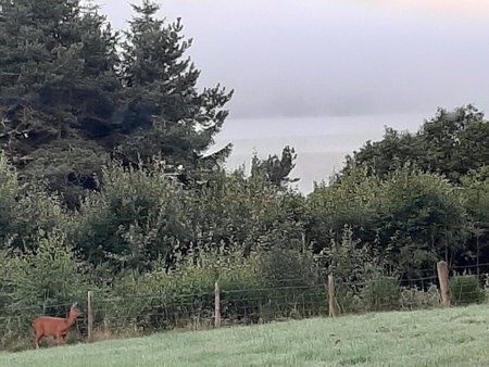 High March, Drumnadrochit, United Kingdom