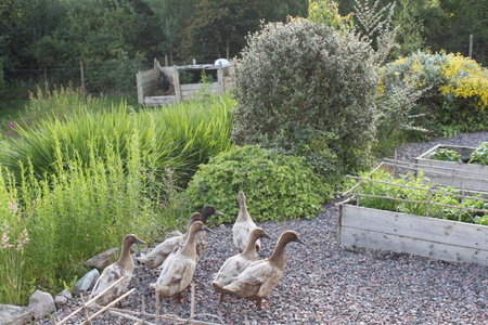 Heatherbank Guest House, Strontian, United Kingdom