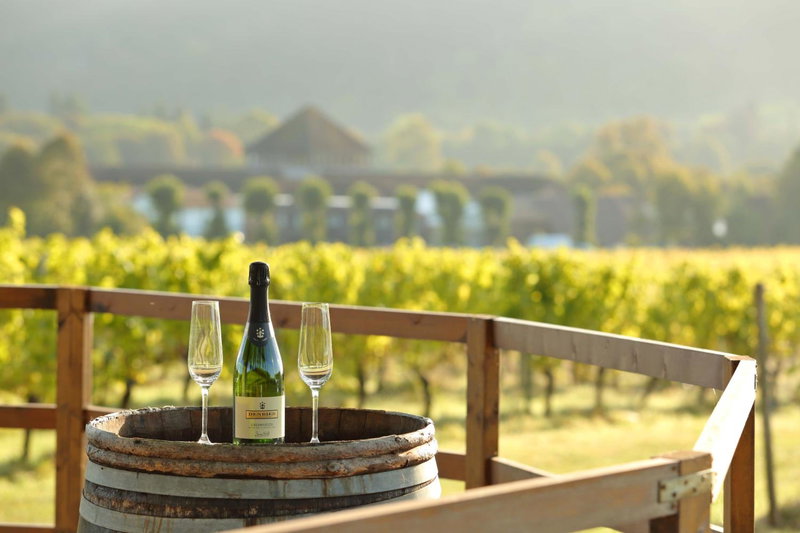 Denbies Vineyard Hotel, Dorking, United Kingdom