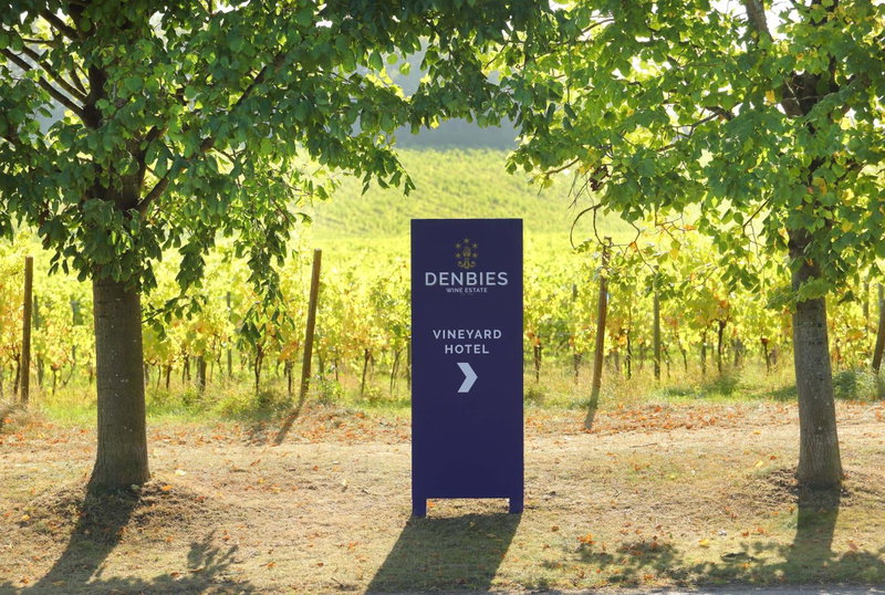 Denbies Vineyard Hotel, Dorking, United Kingdom