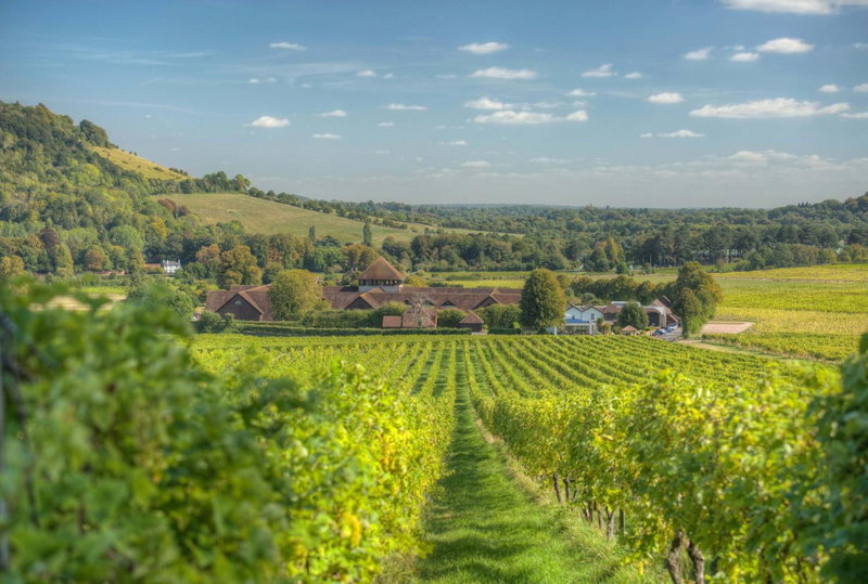 Denbies Vineyard Hotel, Dorking, United Kingdom