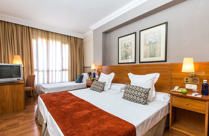 Sercotel HMO Martina, Granada, Spain