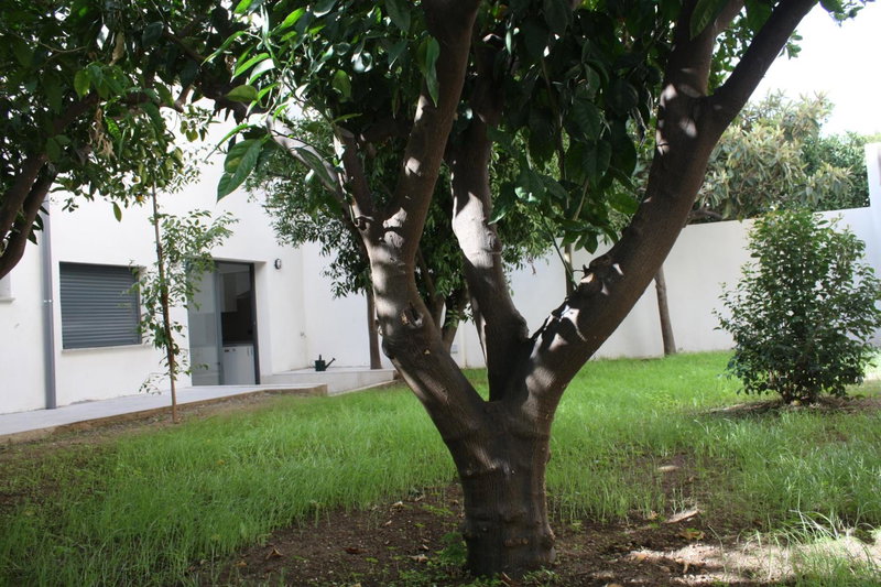Residencia Mayol - Adults Only, Palma de Mallorca, Spain
