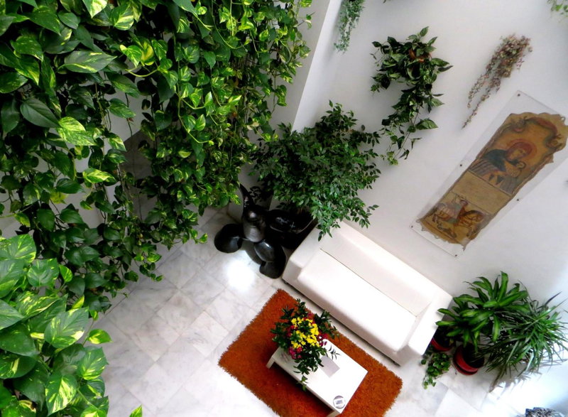 Un Patio al Sur, Seville, Spain