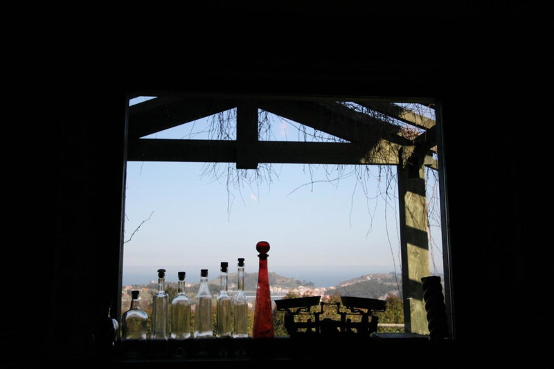 Paraje del Asturcon - Adults only, Ribadesella, Spain