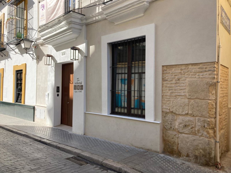 Casa Señorial del Siglo XVIII, Seville, Spain