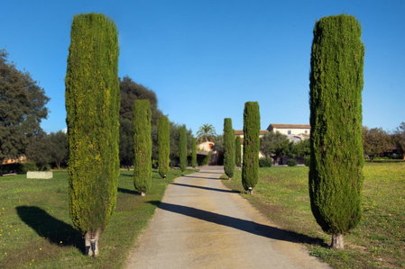 Mas Falgarona Hotel Boutique & SPA, Avinyonet de Puigventós, Spanien