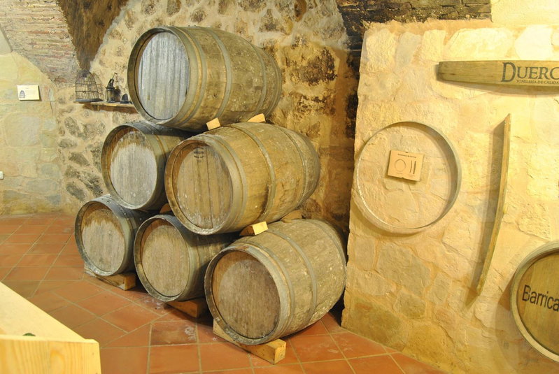 Hotel Milagros Rio Riaza, Milagros, Spain