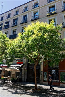 Arenal Suites Preciados, Madrid, Spain