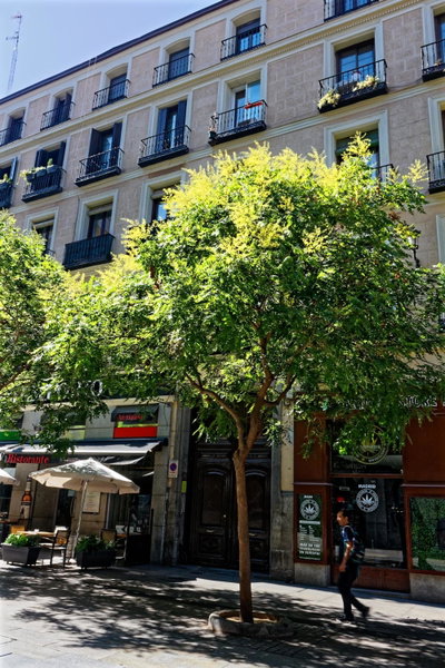 Arenal Suites Preciados, Madrid, Spain