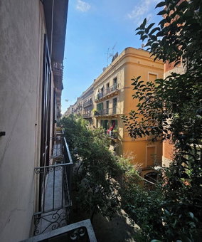 Central and Basic Universitat, Barcelona, Spain