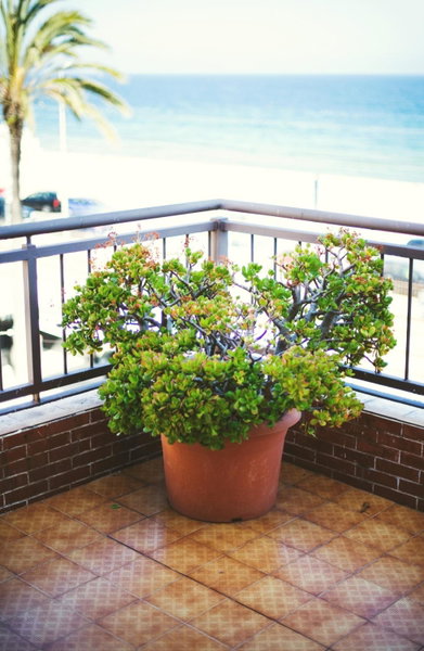 Hotel Miramar Badalona, Badalona, Espagne