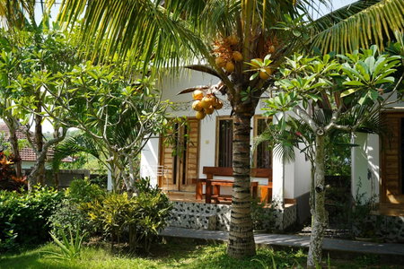 Wahyu Masari Homestay, Nusa Penida, Indonesien