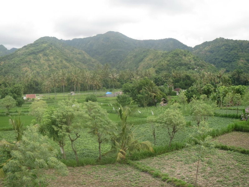 Mesari Homestay, Amed, Indonesia