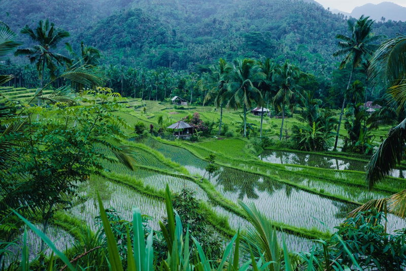 Villa Markisa Pakisan, Singaraja, Indonesia