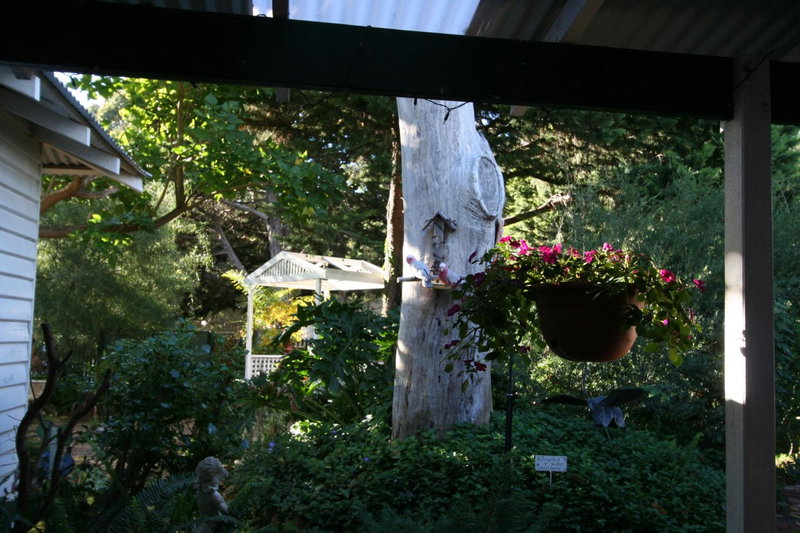 Rosebridge House Bed & Breakfast Adult Retreat, Gooseberry Hill, Australia