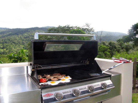 Seclude Rainforest Retreat, Palm Grove, Australia