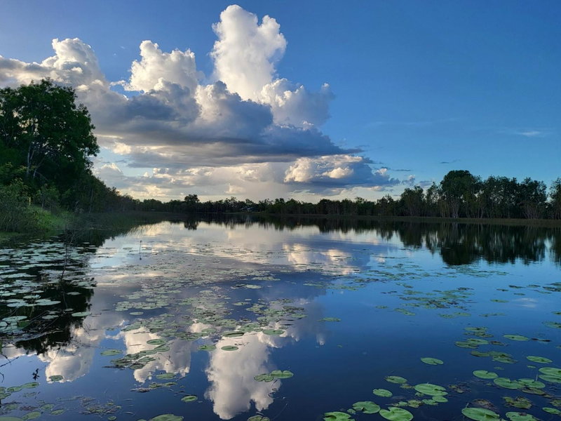AAOK Lakes Resort and Caravan Park, Berry Springs, Australia