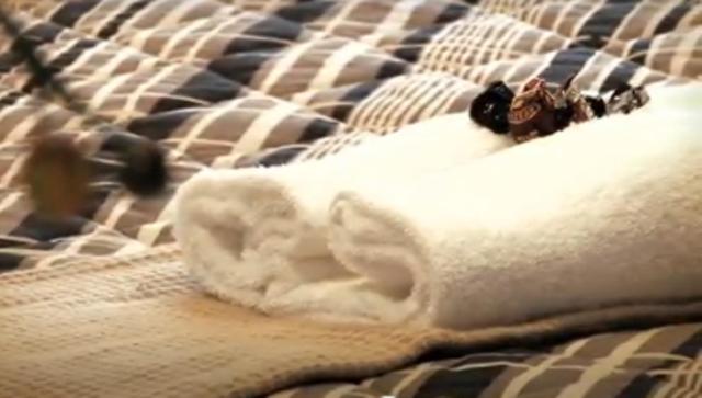 Clayton Monash Motor Inn & Serviced Apartments, Clayton North, Australia