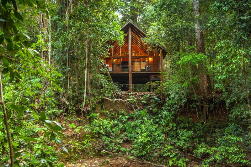 The Canopy Rainforest Treehouses & Wildlife Sanctuary, Tarzali, Australia